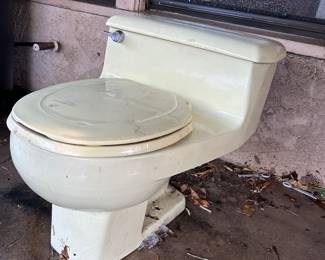 Vintage Yellow toilet