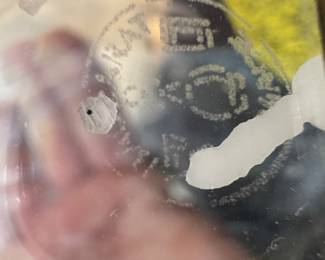 Baccarat Crystal Dauphine Hurricane Lamps (Pair)