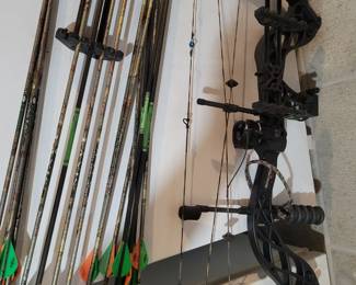 Nice compound bow