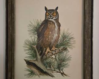 Owl Fine Art by Roger Tory