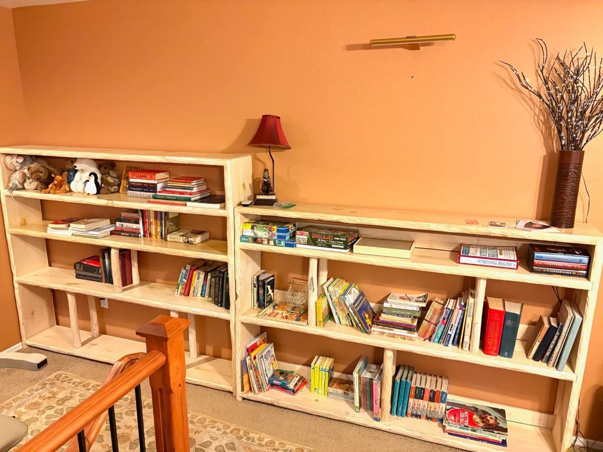 2 LG BOOKCASES