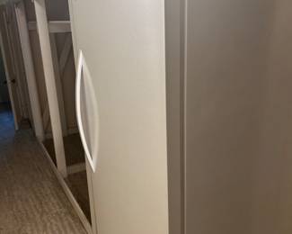 Basement freezer