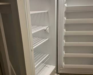 Big upright freezer in basement