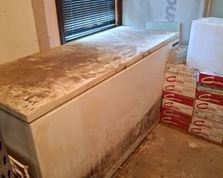 Two very large freezers
