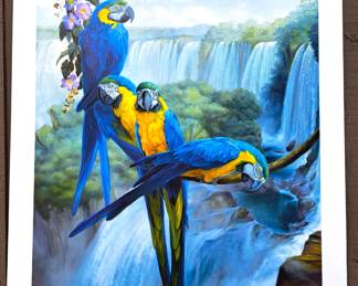 PARROTS PRINT
