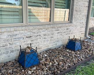 BLUE METAL PLANTERS IN STANDS