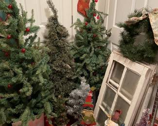 Christmas trees & old windows