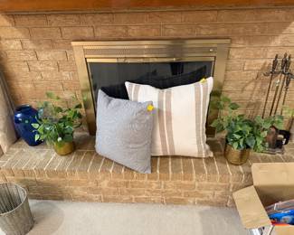 Plants, Pillows and Decor