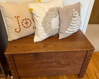 Trunk and pillows