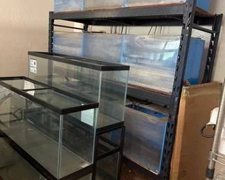 3006  15 Fish Tanks 