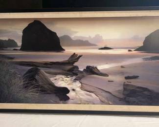 Beach Shore Print In Frame