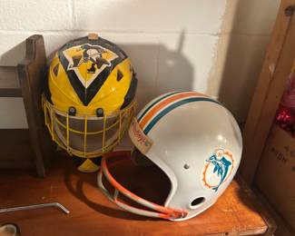 Dolphins and Penguins Helmets