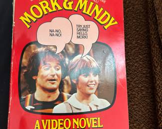 More & Mindy a Video Novel