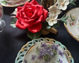Tea Cup and China Collection