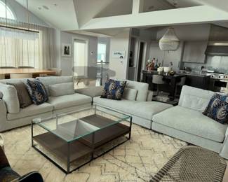 Roche sectional sofa