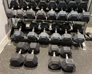 Set of Hampton Weights up to 75 lbs with Rack