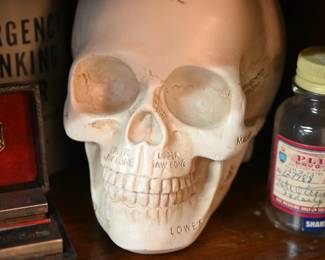 Anatomical Skull Model, Vintage Pharmacy Bottle