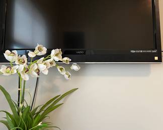 VIZIO TV