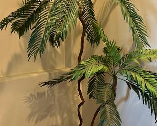 Silk Tree