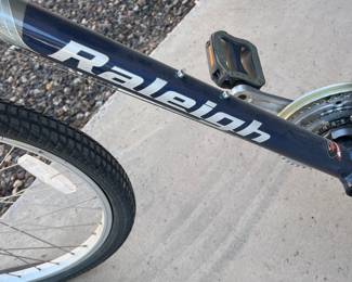 Raleigh Bike