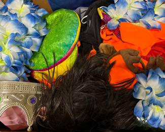 Assorted Costumes