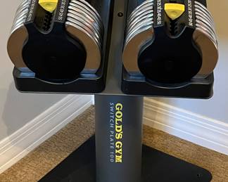 Gold's Gym Switch Plate 100