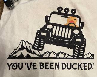 You've Been Ducked, Ducks!