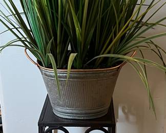 Small Silk Plant, Plant Stand