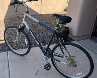 Raleigh Bike