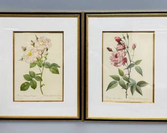 Pair French botanical prints after Redoute