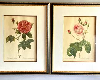 Pair French Redoute botanical prints