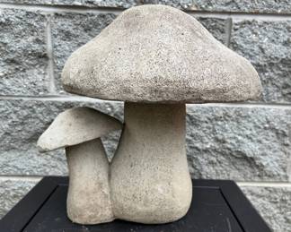 Double cluster of mushroom in silestone