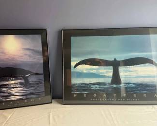 Lot Of 2 Bob Talbot Framed Pictures Whale Megaptera Sunset