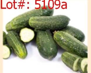 5109a result