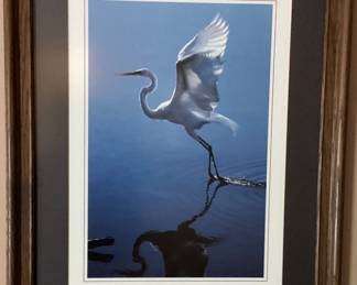 Wall Art Pelican
