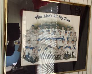 Wall Art Vine line All Ivy Team