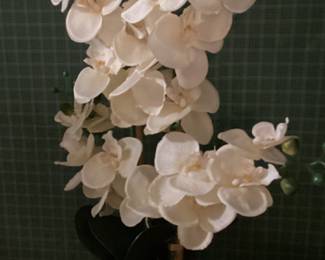 Orchids in Red Can