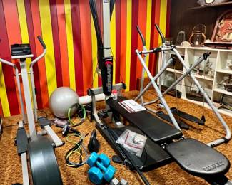Four different weight room must haves for various body work / toning - and free weights, bell weight and stretch bands and ball / roller bar