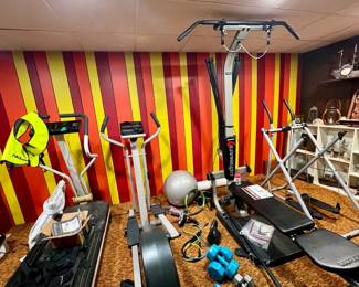 Four different weight room must haves for various body work / toning - and free weights, bell weight and stretch bands and ball / roller bar