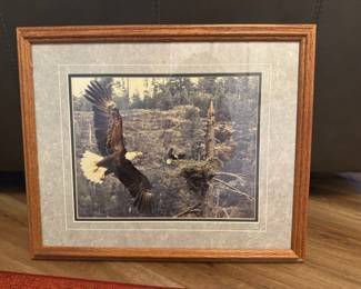 Framed & Matted Bald Eagle and Nest Photography Print By James T. Jones