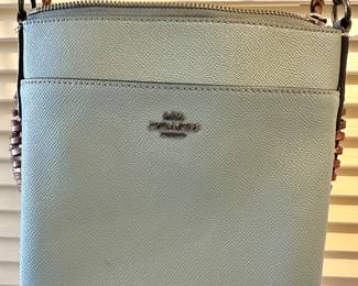 Coach Sage/Pewter Kitt Messenger Crossbody Leather Bag