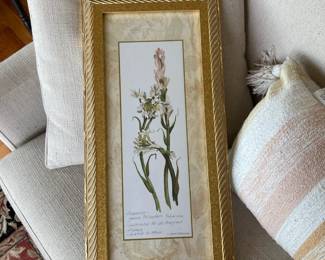 Carol Robinson Ornithogalum Floral Print