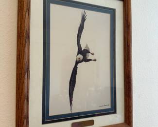 Framed & Matted Eagle Photography "Top Gun" by Gerry J. Lamarre