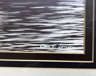 Framed & Matted Eagle Photography by Gerry J. Lamarre