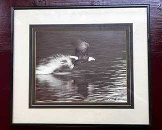 Framed & Matted Eagle Photography by Gerry J. Lamarre