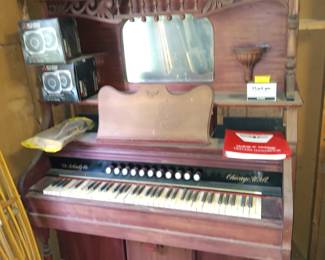 organ