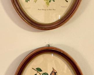 Pair of Vintage Bird Prints by Vincent