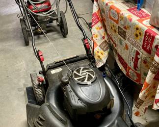 Craftsman EZ Walk Push Mower