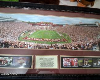 Florida State Panorama Photo