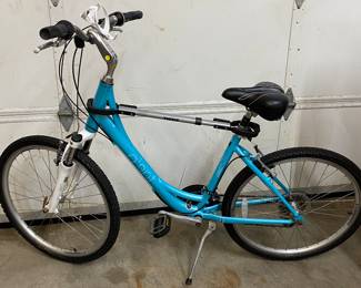 Giant bicycle, serviced yearly